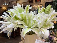 -吾肆WUSI Flora Cafe Bar(百子湾店)