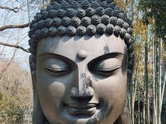 -杭州植物园