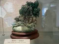 -河南自然博物馆