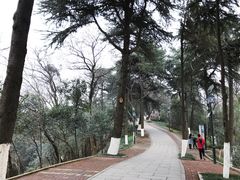 -龟山风景区-龟山电视塔
