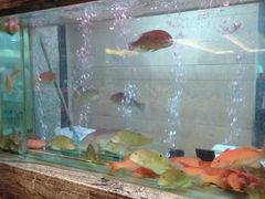 -海逸海鲜酒家(古北店)