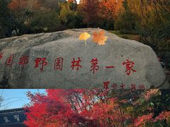 -习家池