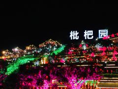 -枇杷园食为鲜火锅(南山店)