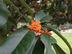 iphone_upload_pic-敬亭山风景名胜区