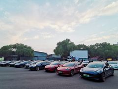 -枫花园汽车电影院(朝阳公园店)