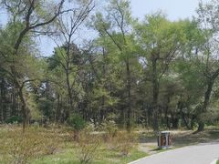 -长春市南湖公园