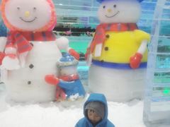 -宁波冰雪大世界(北仑区)
