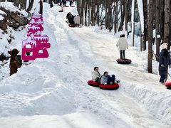 -洛阳白云山景区