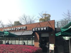 -星巴克(西藏路店)