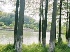 -洪泽湖古堰景区