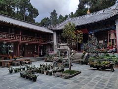 -寂照庵