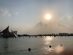 -暨阳湖生态园