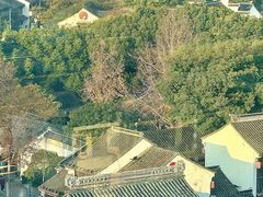 -顽啤熊·酒客酒馆(苏城夜景必选店)