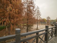 -海珠湖公园