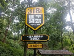 -中国大熊猫保护研究中心雅安碧峰峡基地