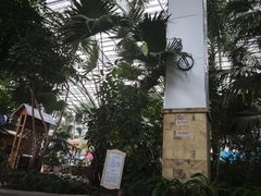 -国信南山温泉