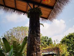 -大树头·花园餐厅(市桥店)