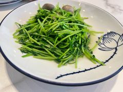 草菇豆苗-雷峰塔·藕香居餐厅