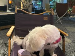 -J Create城市露营咖啡·简餐·宠物(上海动物园店)