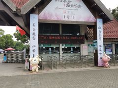 -上海海湾国家森林公园