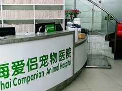 -爱侣宠医·鹦鹉专科·小型哺乳类·异宠专科(灵石路店)