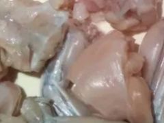 活杀牛蛙-海底捞火锅(威高广场店)