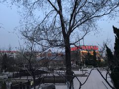 -绿岛公园(滨海新区)