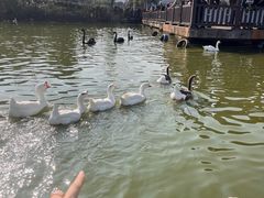 -无锡动物园·太湖欢乐园