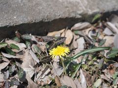 -南京市江宁方山