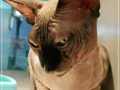 -乐宠宠物店(世纪金源店)