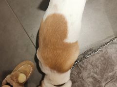 -慢象咖啡(台江店)