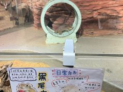 -正佳雨林生态植物园