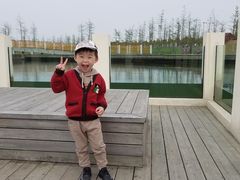 -春花秋色城市公园