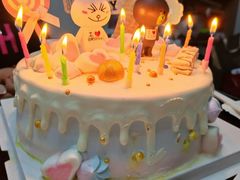 -维尔纳斯·生日蛋糕·动物奶油冰淇淋蛋糕(雨花店)