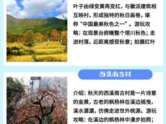 -塔川景区