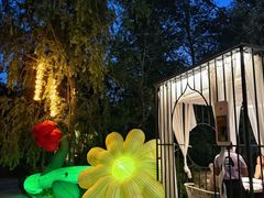 -维斯特·夜烤牛肋条任吃