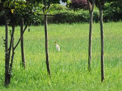 -福建鲤鱼洲酒店