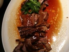 -MR鹅外