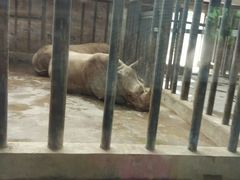 -石家庄市动物园