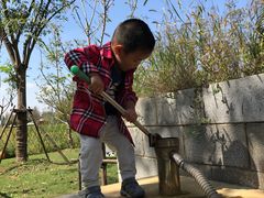 -前小桔亲子创意农场·草莓采摘·露营烧烤