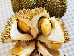 -双福水果批发市场