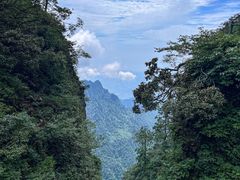 -峨眉山风景名胜区