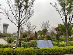 -上海山野camping·户外天幕烧烤·团建拓展营地