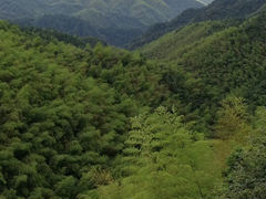 -永州阳明山国家森林公园