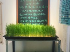 -朵朵开素食餐厅(后宰门街店)