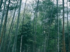 -明月山风景名胜区