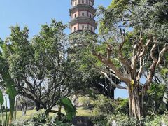 -广州莲花山旅游区