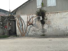 -槟城街头艺术街区