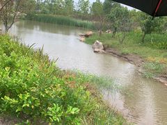 -春花秋色城市公园