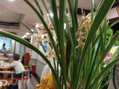 -佛有缘素食馆·荔湾老字号(陈家祠首店)